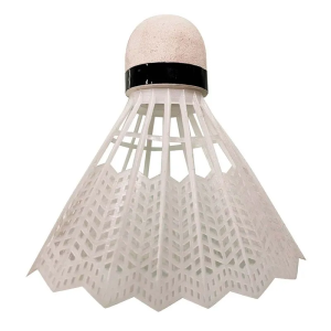 Gallitos de Bádminton