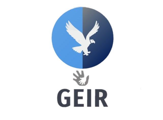 Instituto GEIR S.C